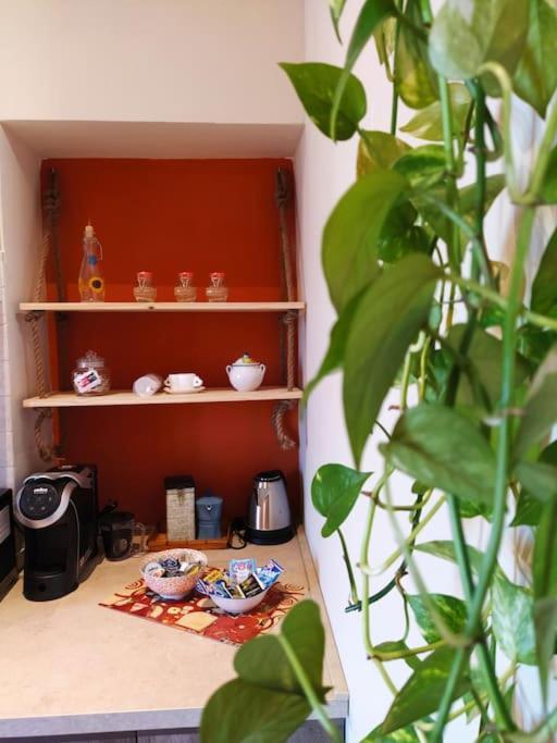 Casa Degli Alberi Apartment Фиумичино Екстериор снимка